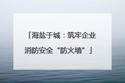 海盐于城：筑牢企业消防安全“防火墙”