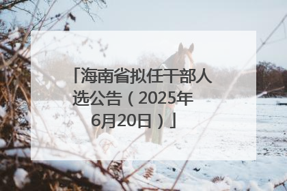 海南省拟任干部人选公告（2025年6月20日）