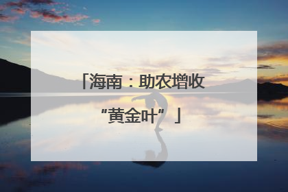 海南：助农增收 “黄金叶”