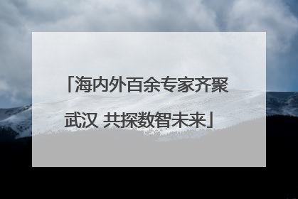 海内外百余专家齐聚武汉 共探数智未来