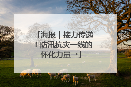 海报｜接力传递！防汛抗灾一线的怀化力量→