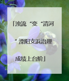 浊流“变“清河“ 溧阳支浜治理成绩上台阶