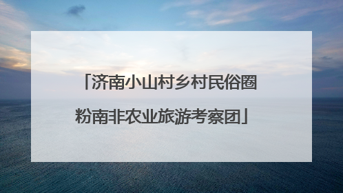 济南小山村乡村民俗圈粉南非农业旅游考察团