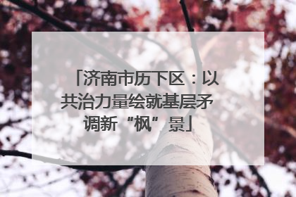 济南市历下区：以共治力量绘就基层矛调新“枫”景