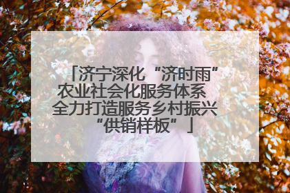 济宁深化“济时雨”农业社会化服务体系 全力打造服务乡村振兴“供销样板”