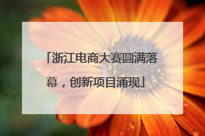 浙江电商大赛圆满落幕，创新项目涌现