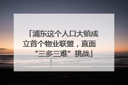 浦东这个人口大镇成立首个物业联盟，直面“三多三难”挑战