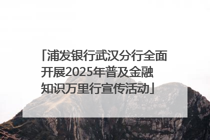浦发银行武汉分行全面开展2025年普及金融知识万里行宣传活动