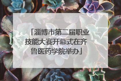 淄博市第二届职业技能大赛开幕式在齐鲁医药学院举办