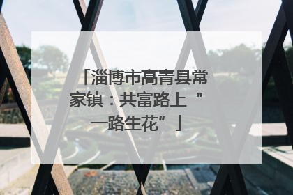 淄博市高青县常家镇：共富路上“一路生花”