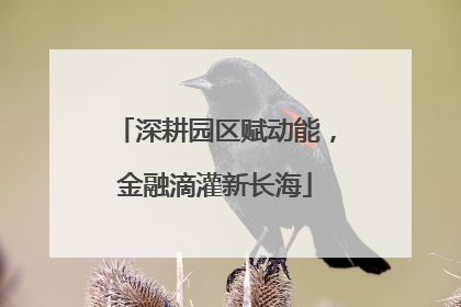 深耕园区赋动能，金融滴灌新长海