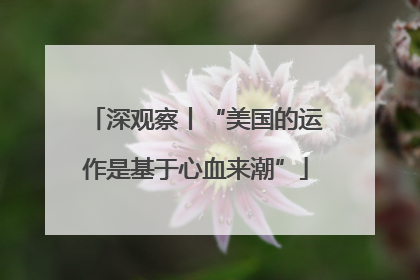 深观察丨“美国的运作是基于心血来潮”