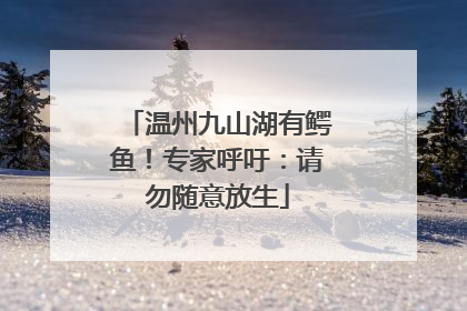 温州九山湖有鳄鱼！专家呼吁：请勿随意放生