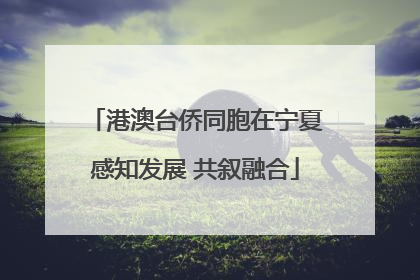 港澳台侨同胞在宁夏感知发展 共叙融合