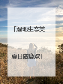 湿地生态美 夏日麋鹿欢