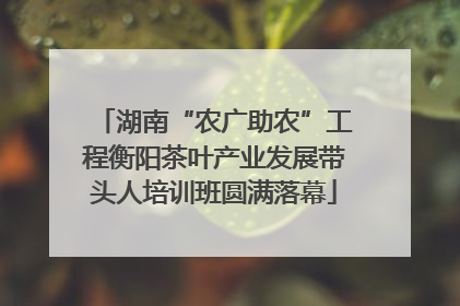 湖南“农广助农”工程衡阳茶叶产业发展带头人培训班圆满落幕