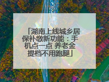 湖南上线城乡居保补缴新功能：手机点一点 养老金提档不用跑腿