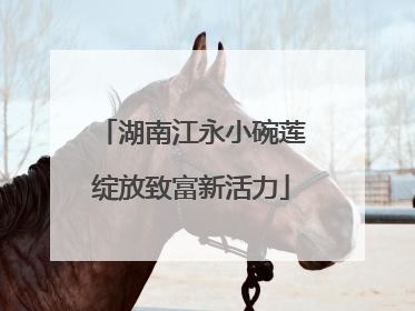 湖南江永小碗莲绽放致富新活力