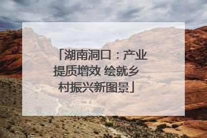 湖南洞口：产业提质增效 绘就乡村振兴新图景