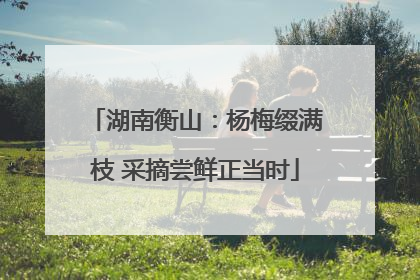 湖南衡山：杨梅缀满枝 采摘尝鲜正当时
