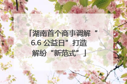 湖南首个商事调解“6.6 公益日”打造解纷“新范式”