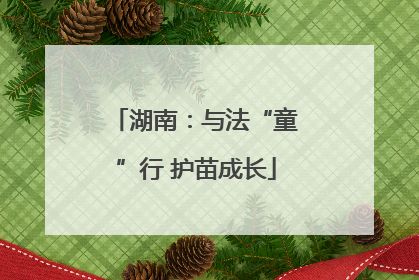 湖南：与法“童”行 护苗成长