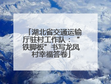 湖北省交通运输厅驻村工作队：“铁脚板”书写龙凤村幸福答卷