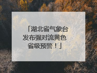 湖北省气象台发布强对流黄色省级预警！