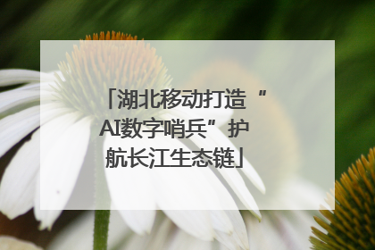 湖北移动打造“AI数字哨兵”护航长江生态链