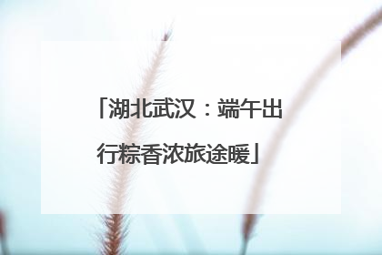 湖北武汉：端午出行粽香浓旅途暖