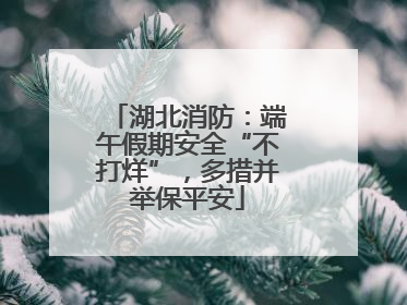 湖北消防：端午假期安全“不打烊”，多措并举保平安