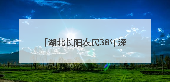 湖北长阳农民38年深山守护“植物大熊猫”