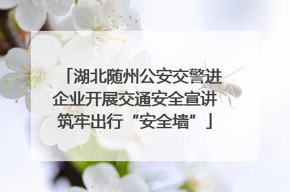 湖北随州公安交警进企业开展交通安全宣讲筑牢出行“安全墙”