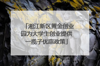 湘江新区黄金创业园为大学生创业提供一揽子优惠政策