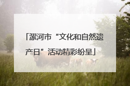 漯河市“文化和自然遗产日”活动精彩纷呈