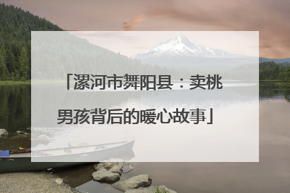 漯河市舞阳县：卖桃男孩背后的暖心故事