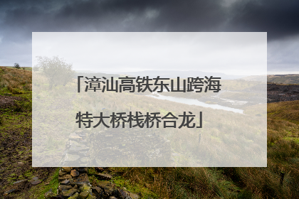 漳汕高铁东山跨海特大桥栈桥合龙