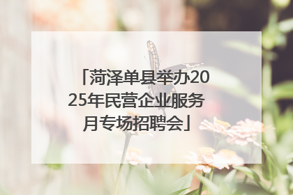 菏泽单县举办2025年民营企业服务月专场招聘会