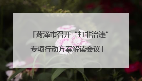 菏泽市召开“打非治违”专项行动方案解读会议