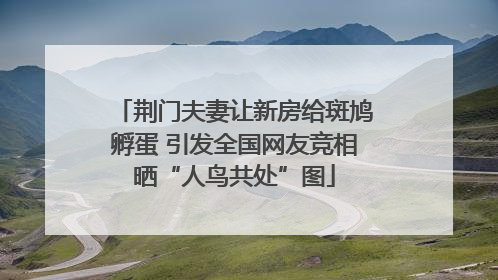 荆门夫妻让新房给斑鸠孵蛋 引发全国网友竞相晒“人鸟共处”图