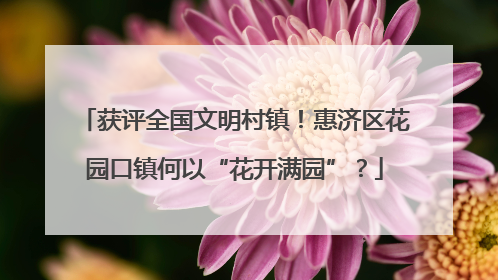 获评全国文明村镇！惠济区花园口镇何以“花开满园”？