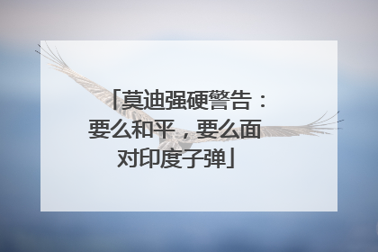 莫迪强硬警告：要么和平，要么面对印度子弹
