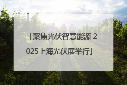 聚焦光伏智慧能源 2025上海光伏展举行