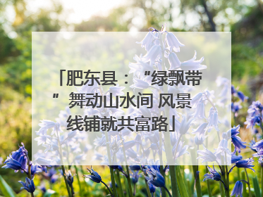 肥东县：“绿飘带”舞动山水间 风景线铺就共富路