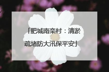 肥城南栾村：清淤疏堵防大汛保平安
