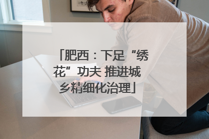 肥西：下足“绣花”功夫 推进城乡精细化治理