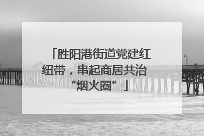 胜阳港街道党建红纽带，串起商居共治 “烟火圈”