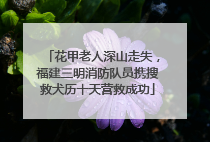 花甲老人深山走失，福建三明消防队员携搜救犬历十天营救成功
