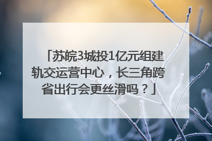 苏皖3城投1亿元组建轨交运营中心，长三角跨省出行会更丝滑吗？