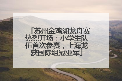 苏州金鸡湖龙舟赛热烈开场：小学生队伍首次参赛，上海龙获国际组冠亚军